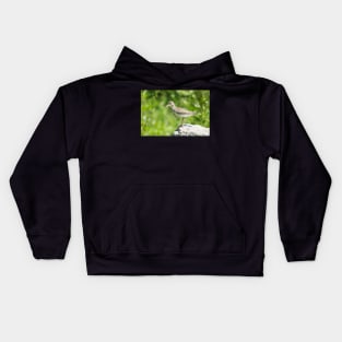 Sandpiper Kids Hoodie